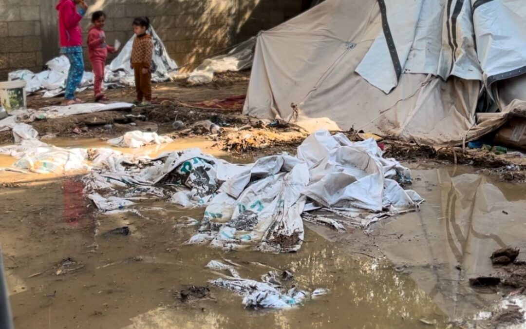 Doneer Palestina: Van water tot zorg zo maak je impact