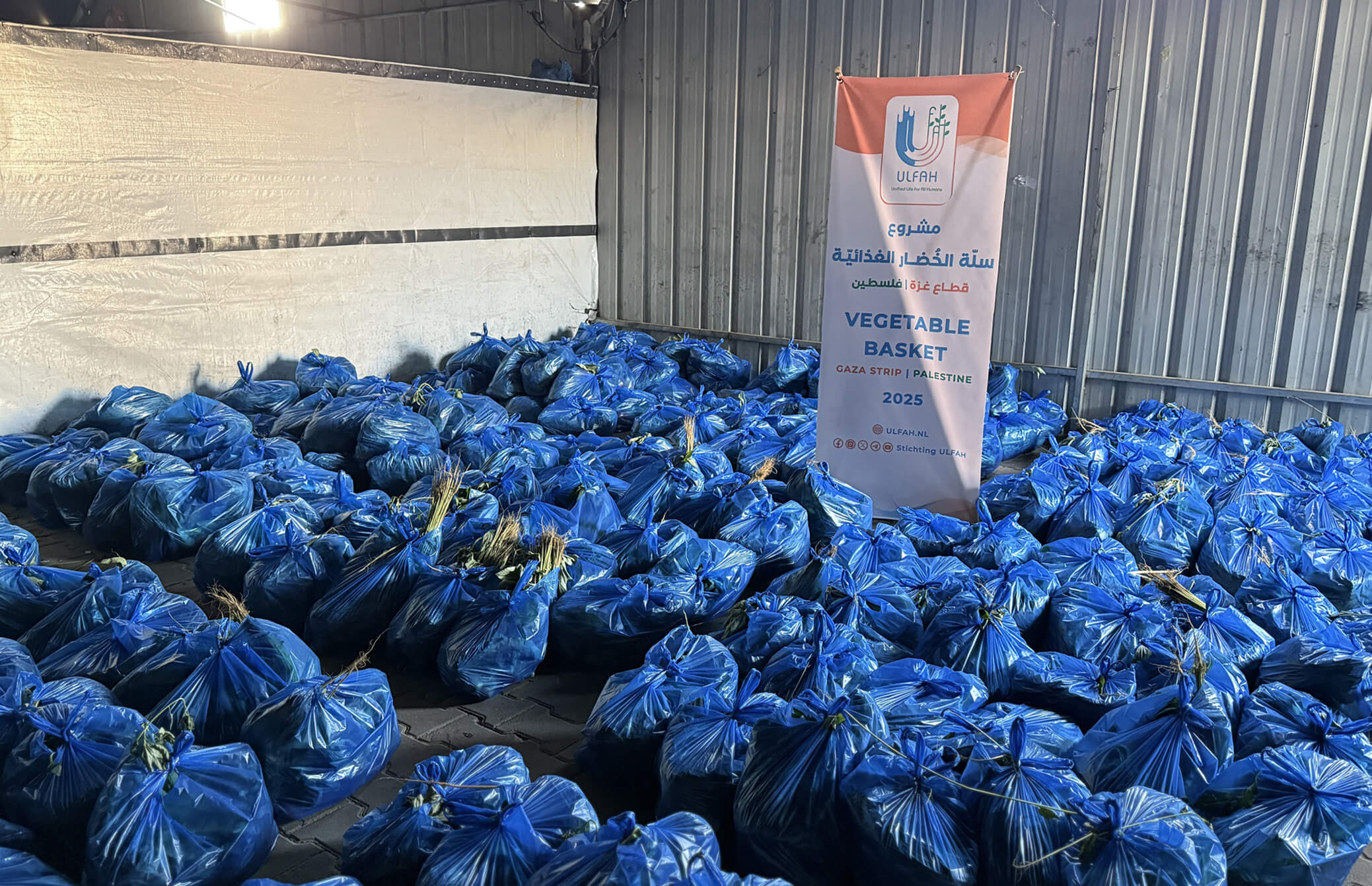 groentepakket-project-01